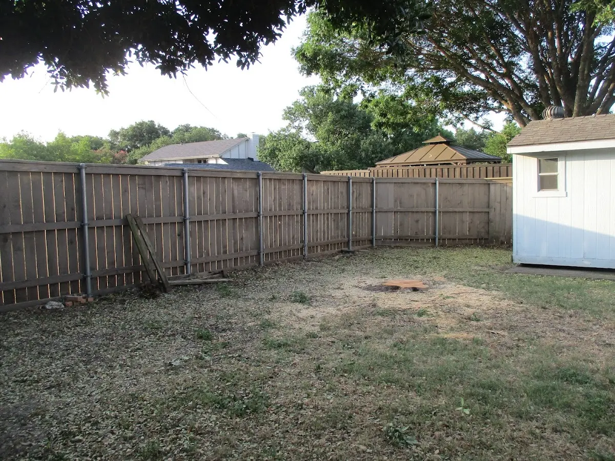 Cleared yard after professional tree removal in New Vernon