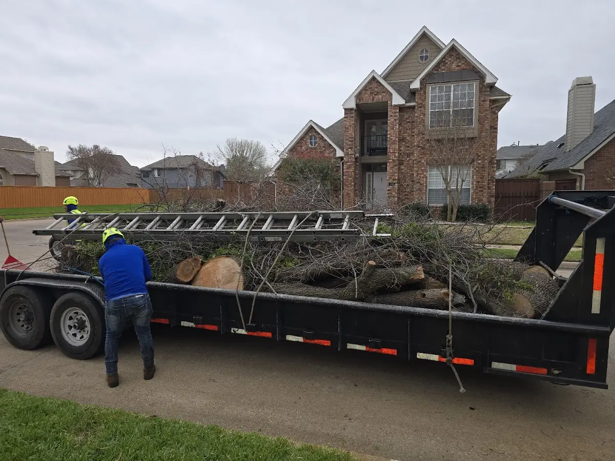 Expert Tree Removal with proper safety equipment in New Vernon